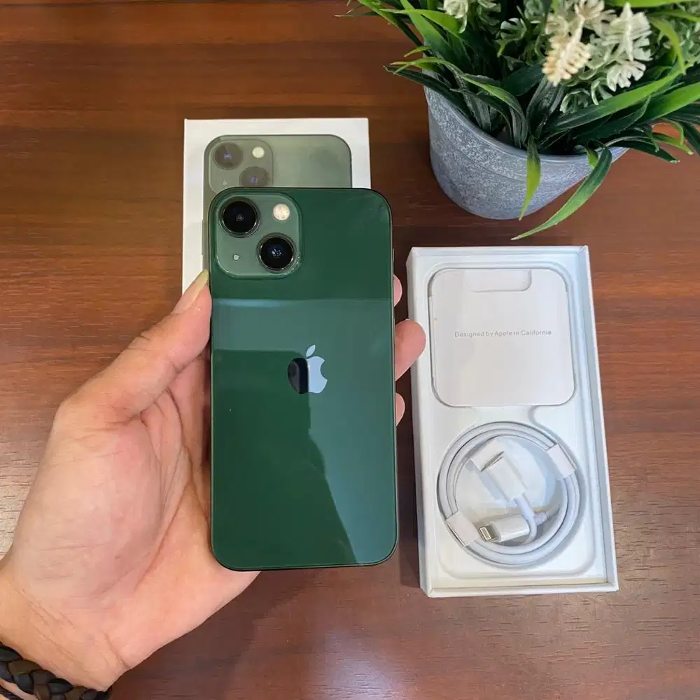 iPhone 13 Mini 128GB Green Inter Terdaftar Beacukai
