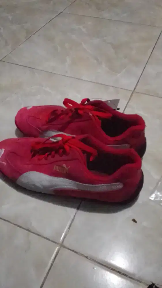 Puma speedcat original