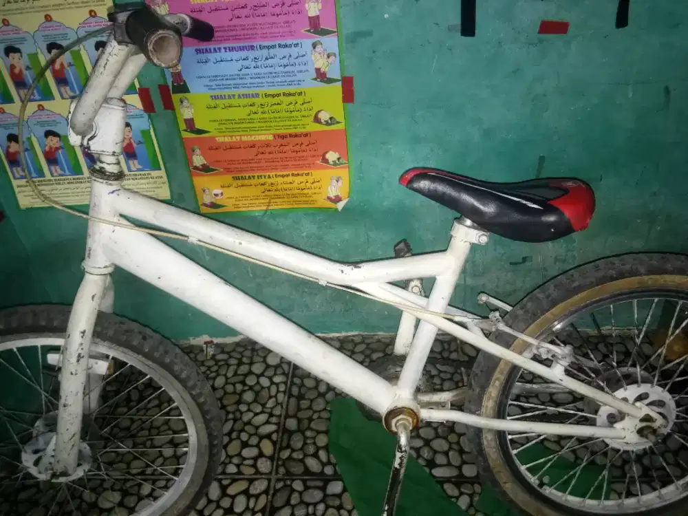 Kondisi Bekas dan catnya luntur