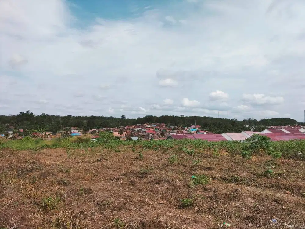 Tanah Murah Simpang RImbo Kota Jambi