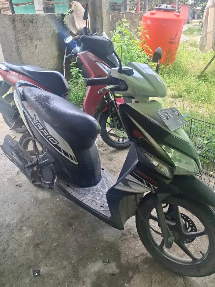 Vario 110 CW 2011