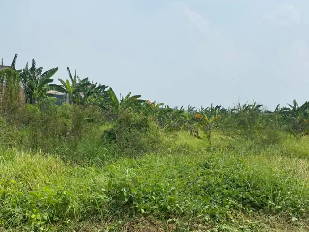 Jual Murah Tanah Di Pakal Madya Dekat Northwest