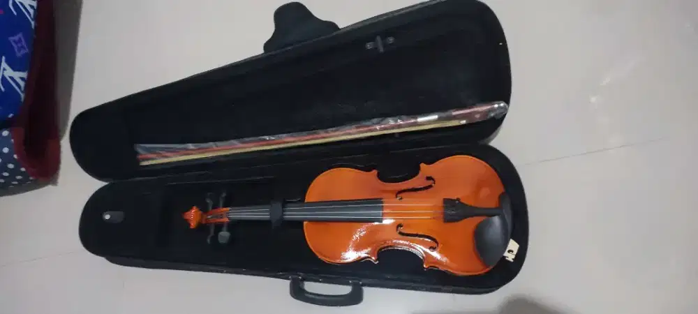 Biola akustik mandalika