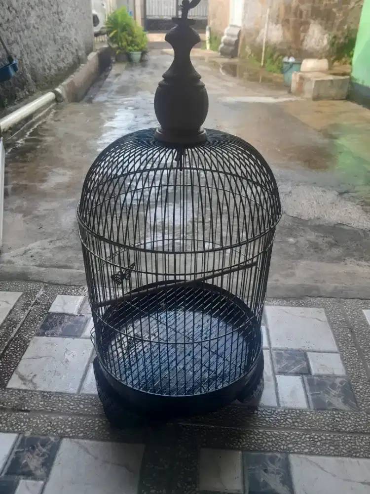 Di jual kandang burung besi ukuran tanggung mina wa