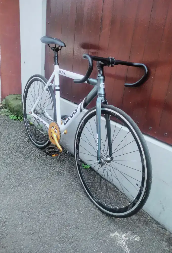 Fixie Gray Team Original