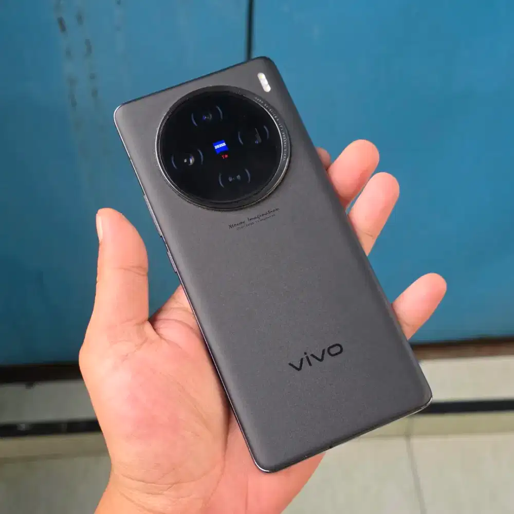 vivo x100 12/256gb mulus