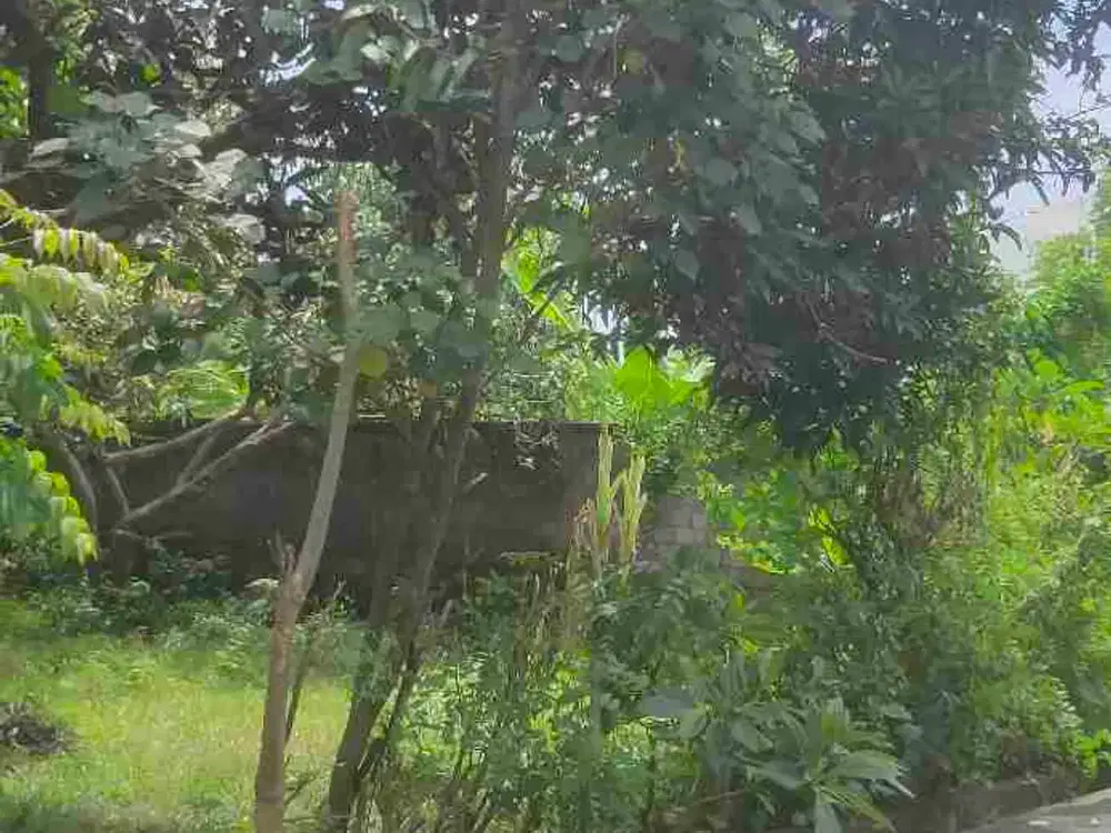 Di kontrakan. tanah goa gong , kutuh ,Badung, Bali