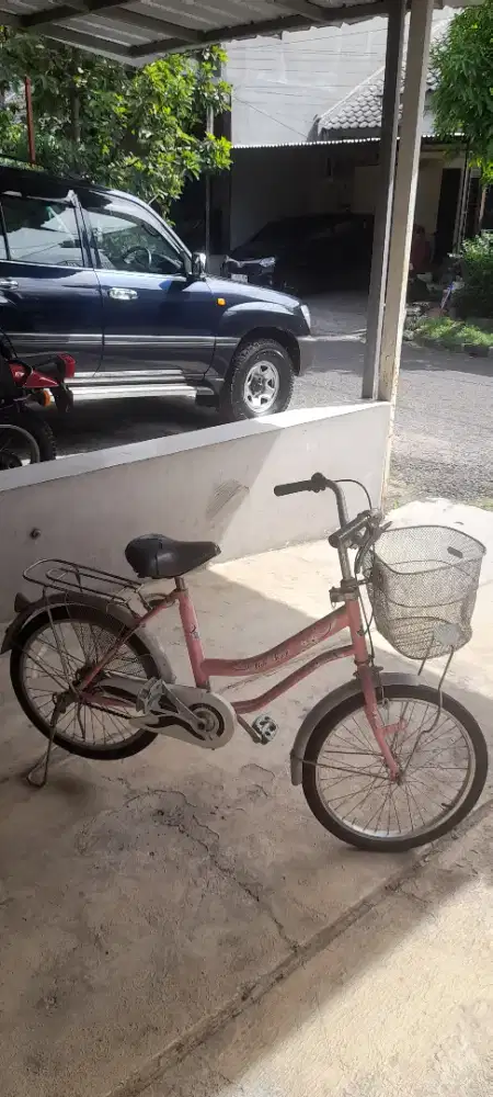 Sepeda Pink Anak Perempuan