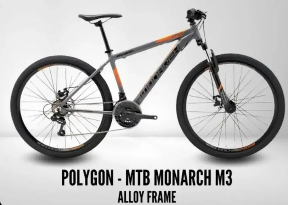 JUAL POLYGON MONARCH M3 GREY BRAND NEW