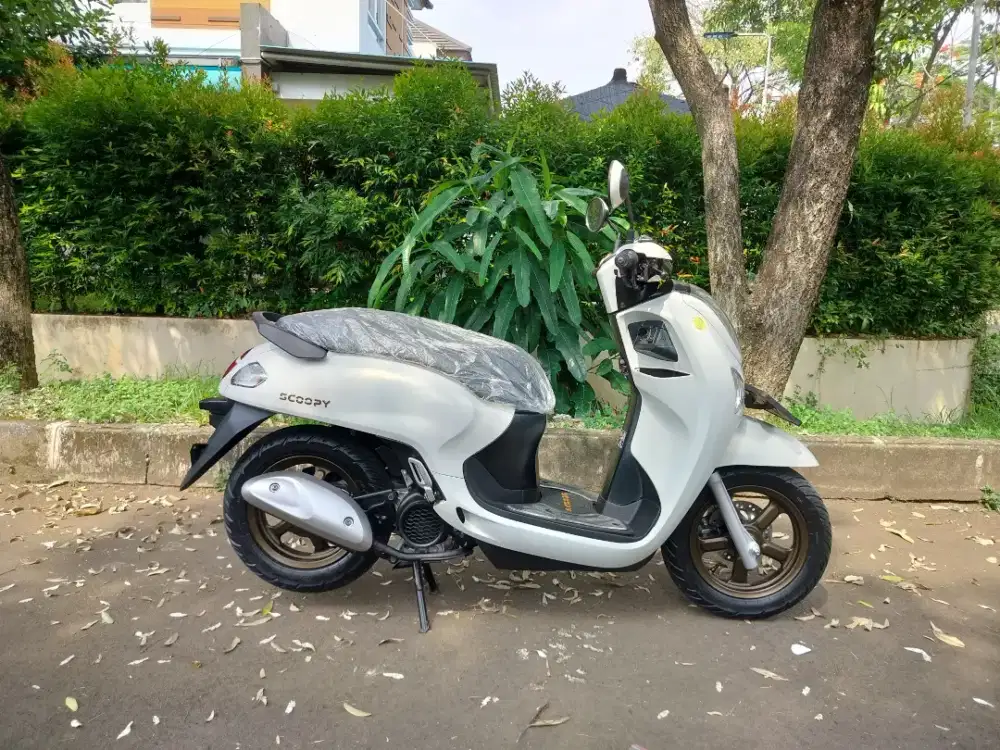 Honda Scoopy prestige keyles tahun 2025