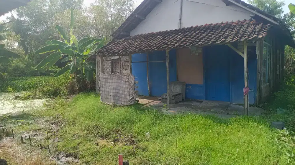 Dijual Tanah Di Desa Banjarmadu Karanggeneng Lamongan