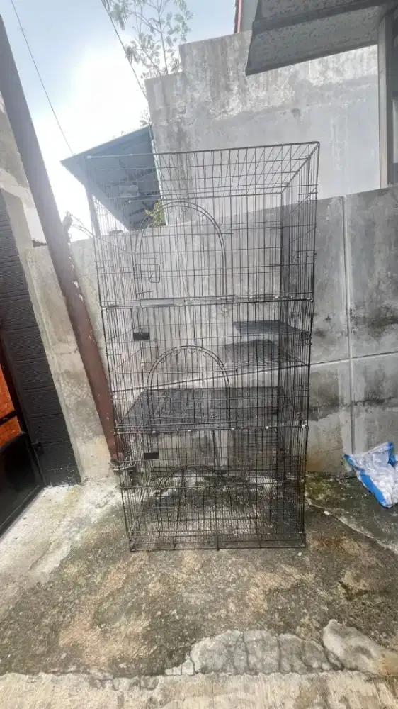Kandang kucing tingkat