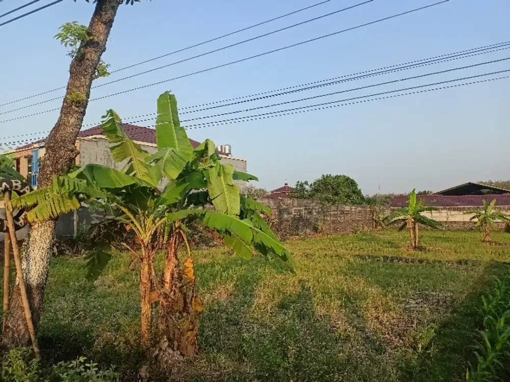 Tanah Pinggir Jalan Sumber Lawang