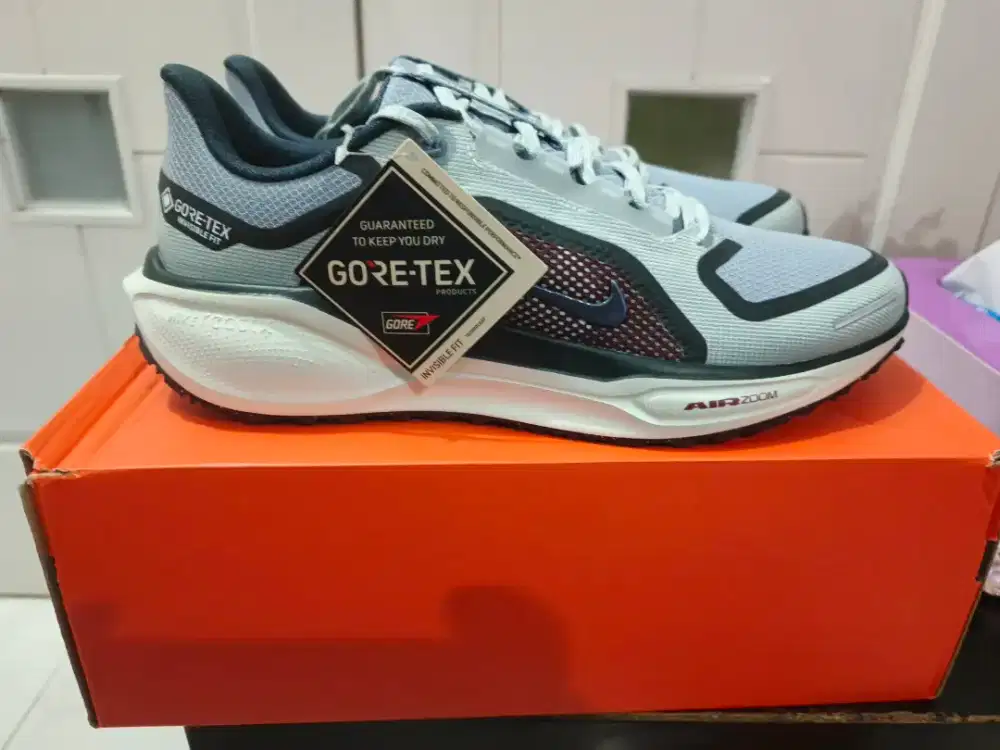 sepatu Nike Pegasus 41 Goretex