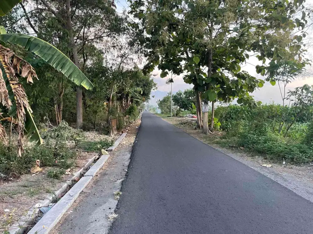 DIJUAL MURAH TANAH DI MOJOKERTO