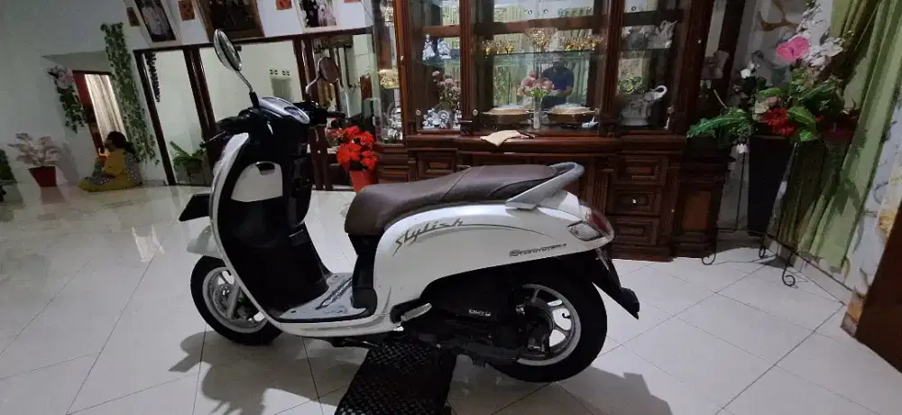 Scoopy Stylish 2019