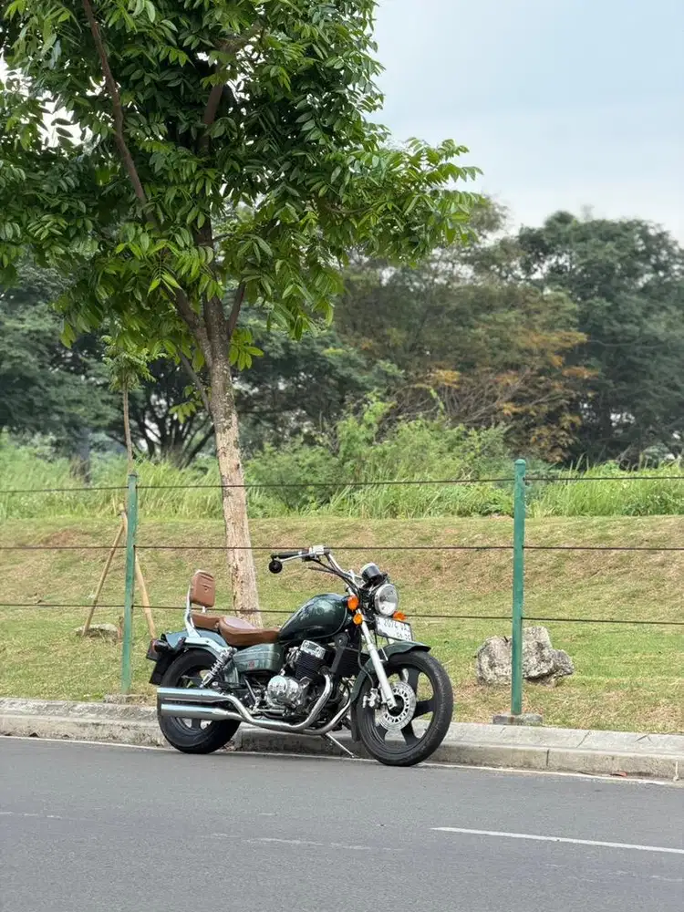 Benelli 250 Patagonian Eagle 2020