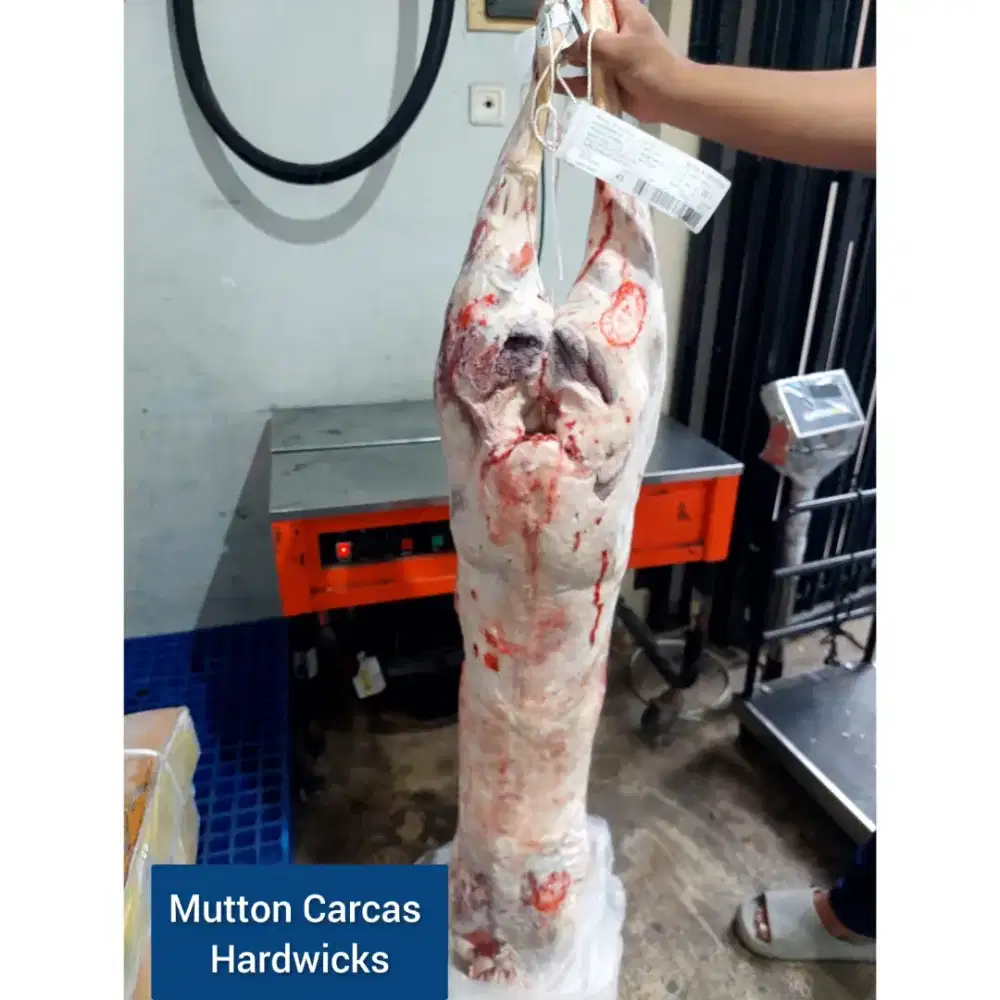 Freelance Admin Sales/Penjualan