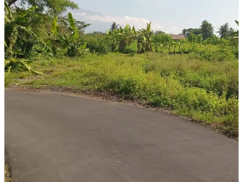 Tanah Mangku Jalan Lingkungan Asri 200 Meter SD Bias Kaliurang