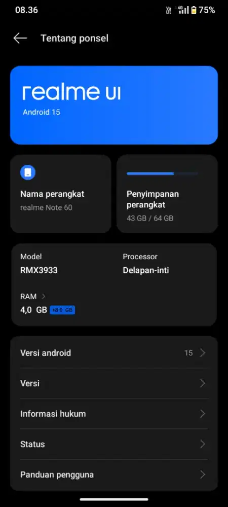 Realme not 60, 4/64