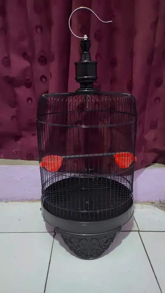 Kandang  LB Tanggung