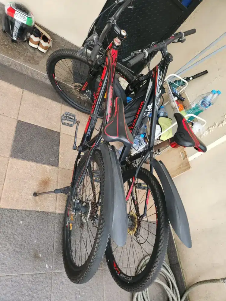 Jual cepat dan murah 2 pcs sepeda unyuk orang dewasa.