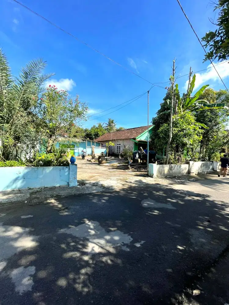 Tanah Murah di Seyegan dekat Jalan Kebon Agung