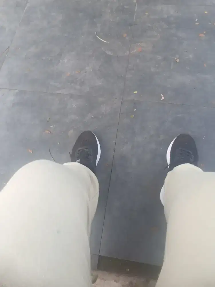 jasa apa saja siap membantu