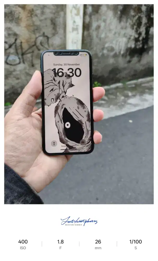 Iphone X 256 gb inter