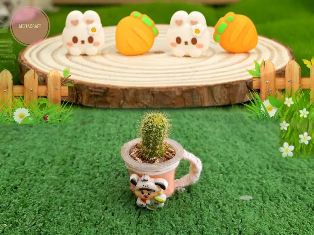 Kaktus Echinopsis dengan Pot Model Cangkir Mini