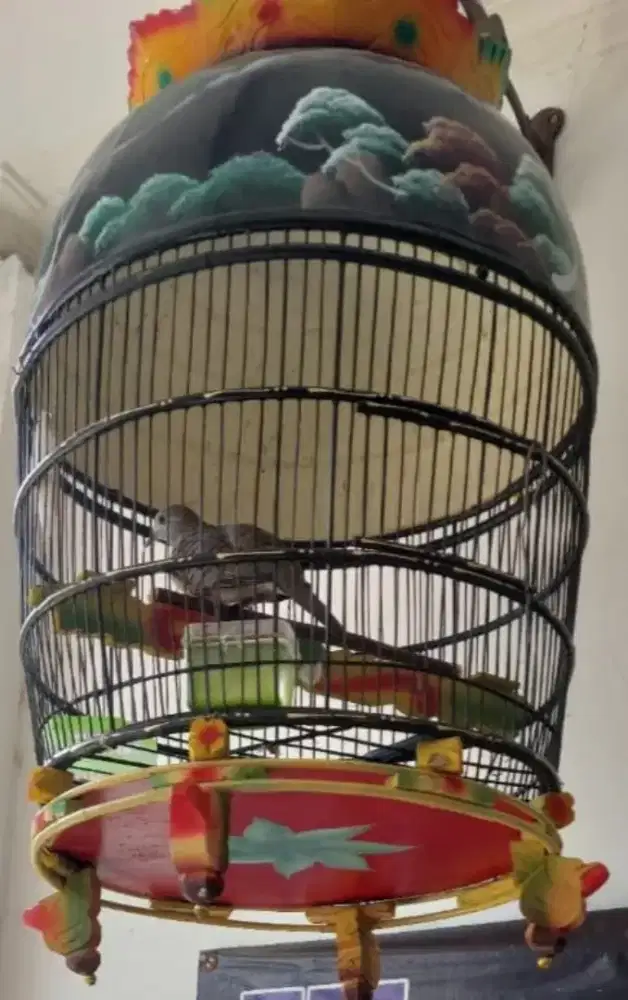 Perkutut Biksu Welahan Pamulang