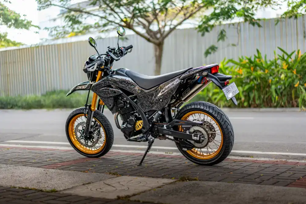 KAWASAKI KLX 230 SE HEDON