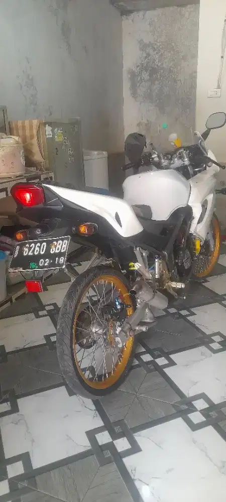 Ninja rr albino 2013
