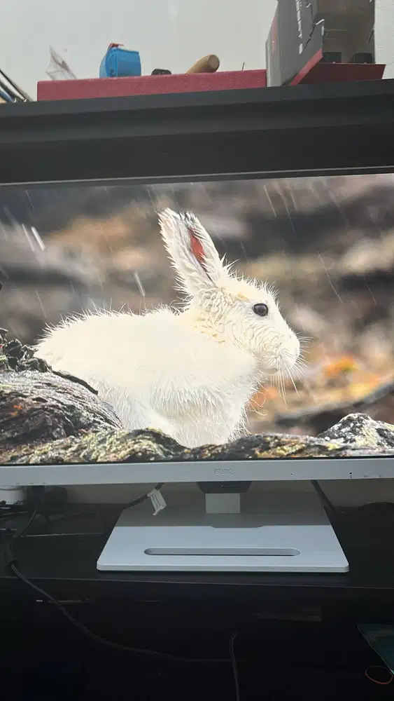 Jual Rugi Monitor BenQ GW2790QT 27 inch 2K