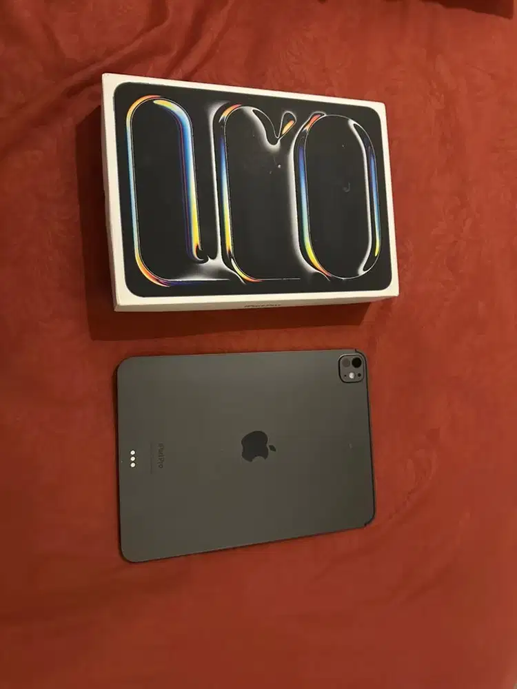 Ipad Pro 11 M4 256gb Wifi