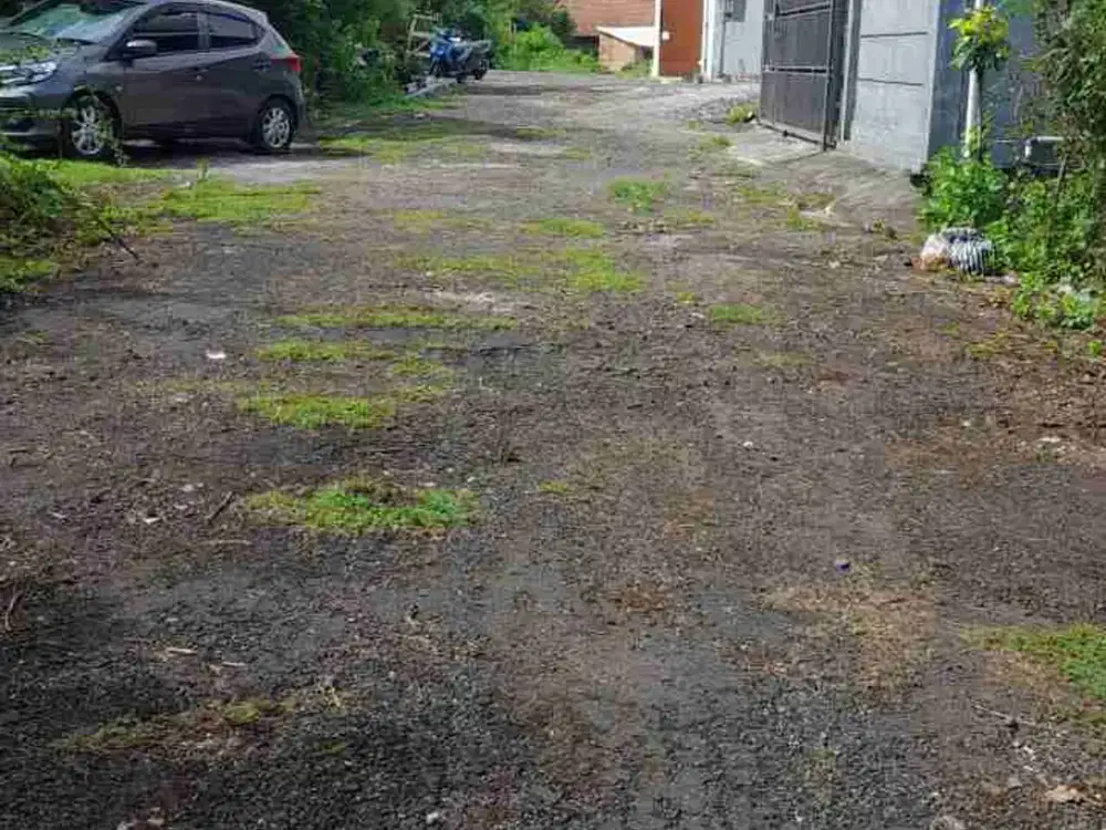 dijual tanah 6 are IDR 580 juta per are di Taman mumbul dekat hotel plago nusa dua