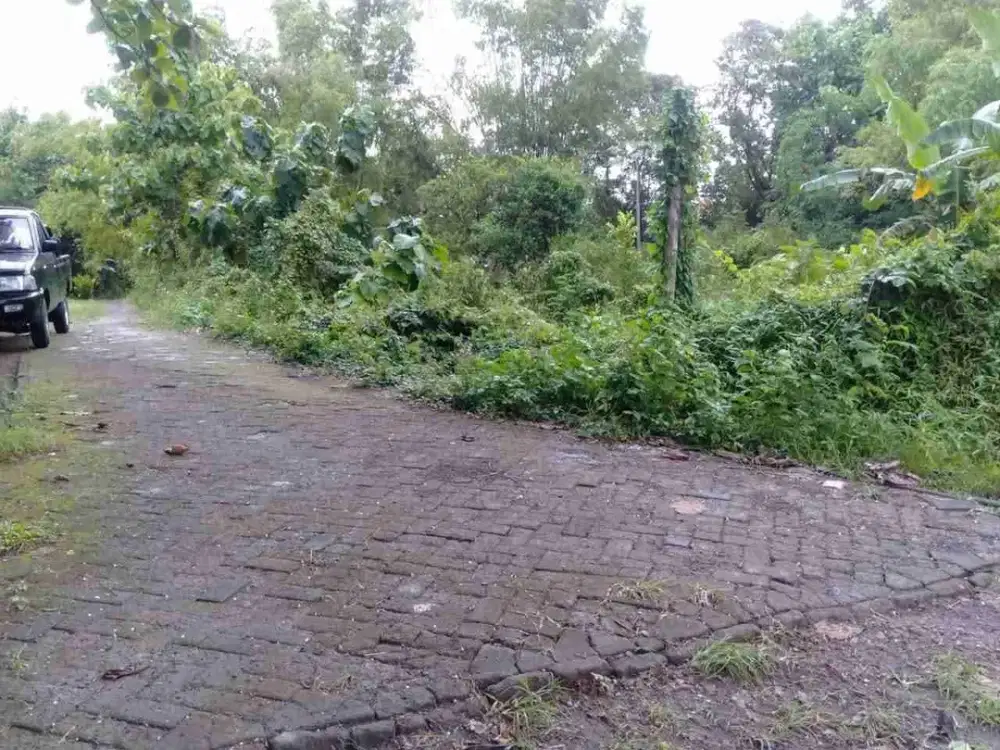 Tanah murah lokasi talok dlanggu mojokerto jalan truk masuk