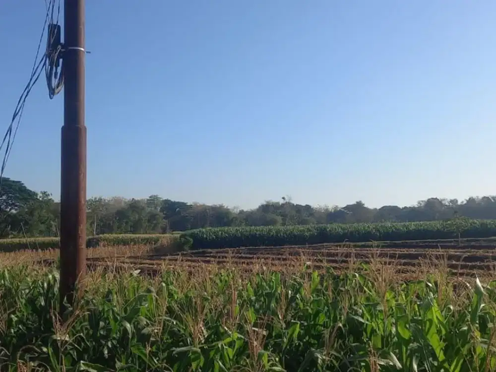 Dijual Lahan Zona Industri Sumberlawang, Sragen Luas 50 Ha