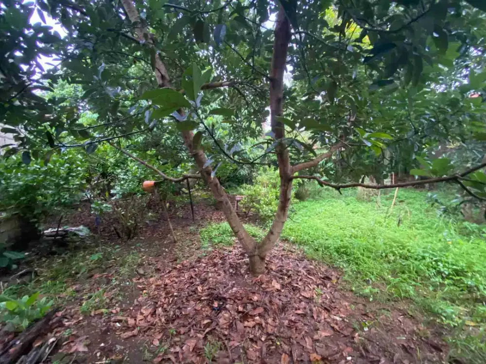 Dijual Tanah Kavling di komplek Perumahan Beji Timur 5 menit ke Stasiun KRL Depok dan Kampus Universitas Indonesia