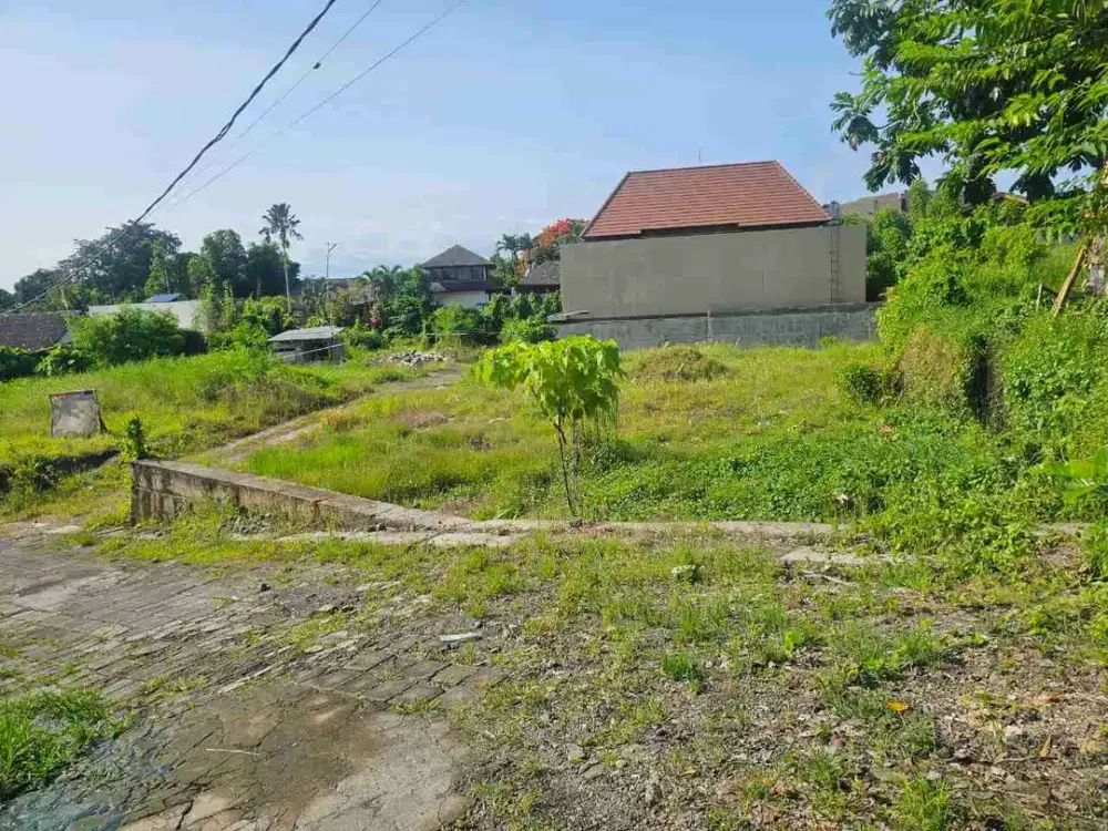 DIJUAL TANAH PREMIUM PERERENAN CANGGU DEKAT PANTAI BONUS VILLA