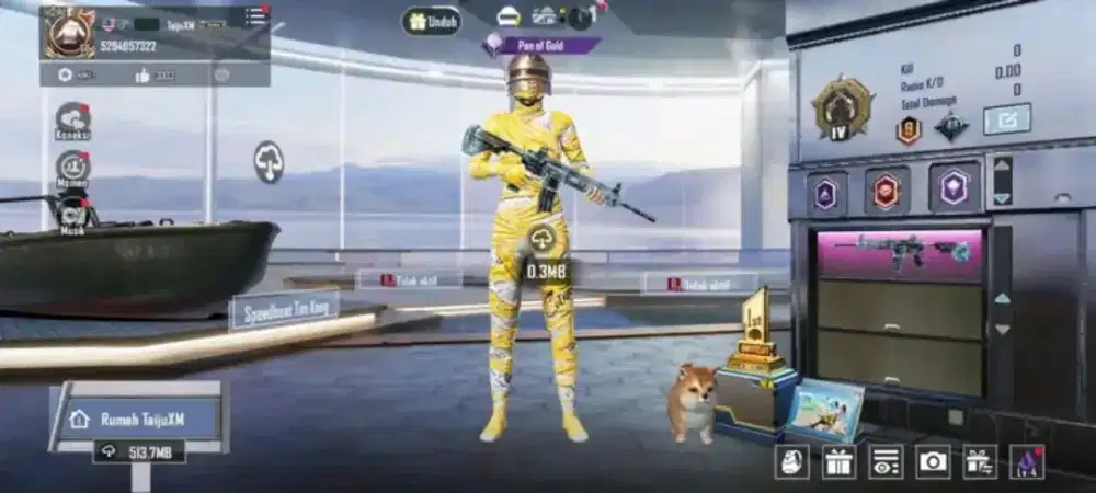 JUAL BELI AKUN PUBG MOBILE