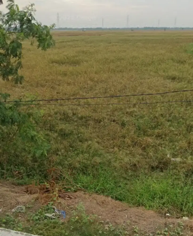 Di jual tanah sawah di buni bakti bekasi dekat tol bojong