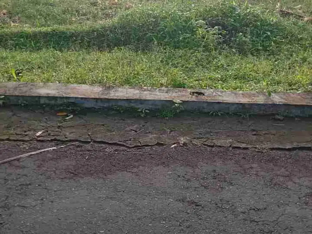 JUAL TANAH SAWAH STRATEGIS PAKEM SLEMAN