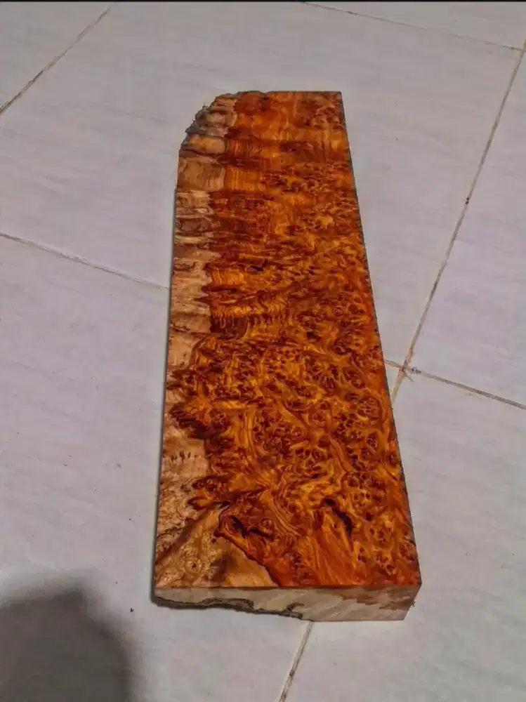 Kayu Eksotis Amboyna Burl