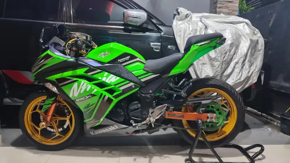 Kawasaki Ninja 250