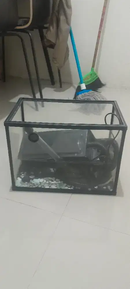 Jual akuarimu ikan gak bisa jauh-jauh