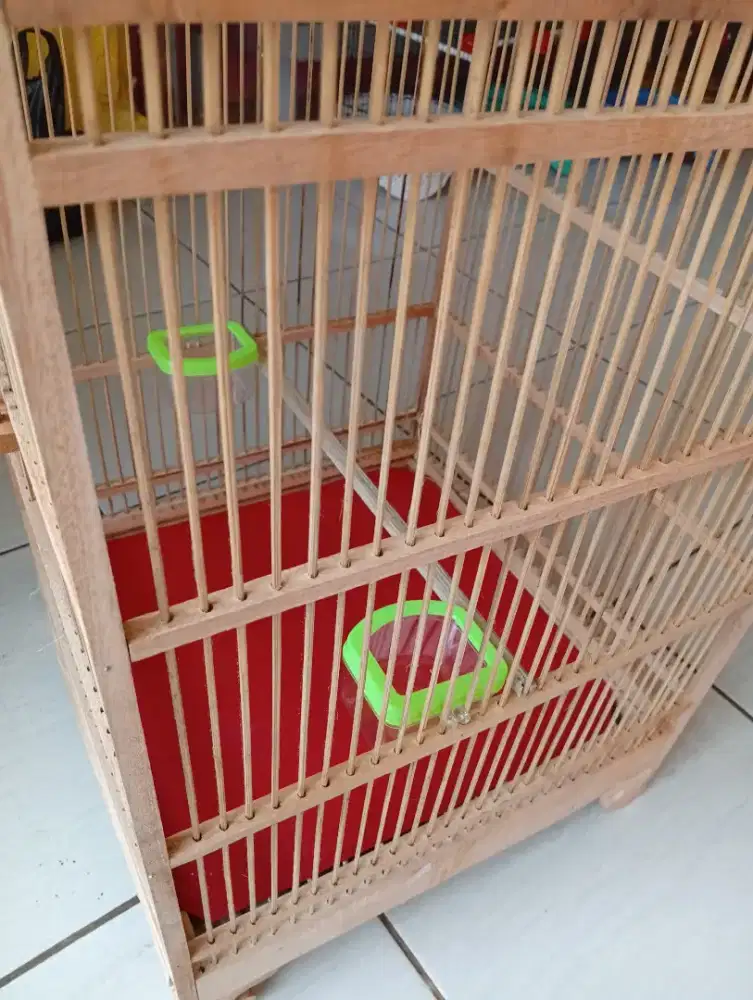 Sangkar kotak murah siap pakai