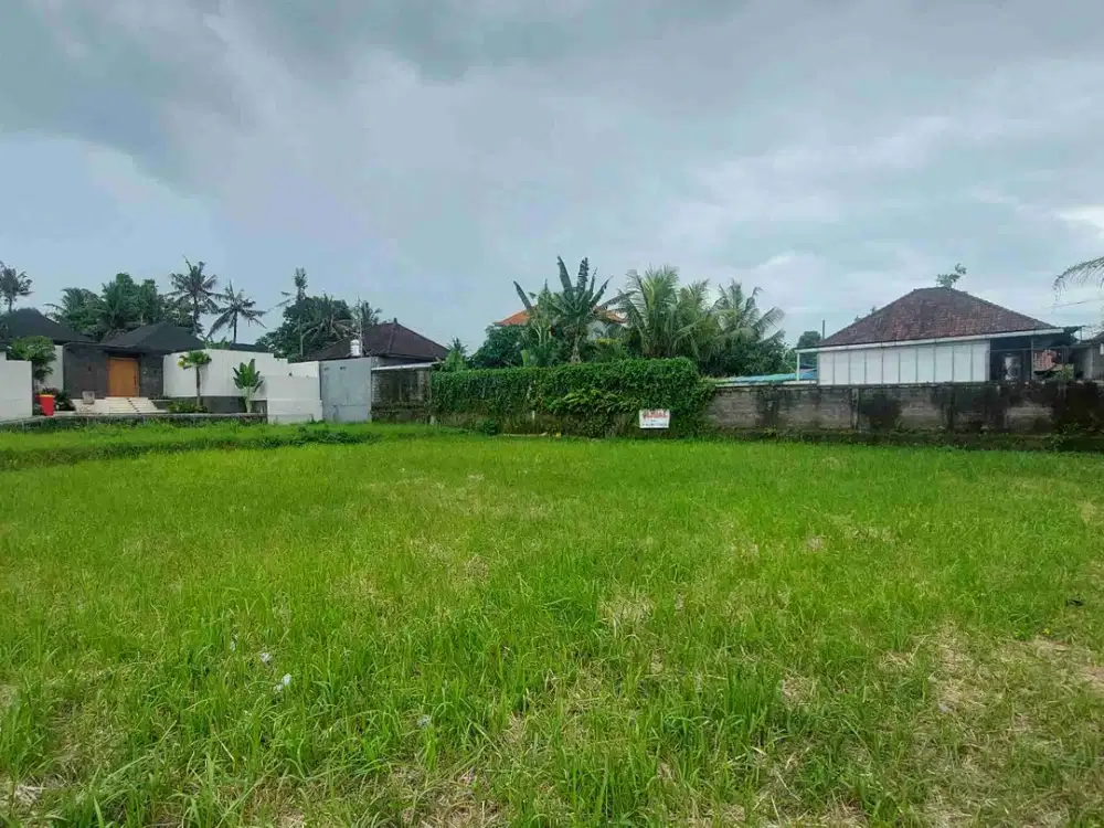 DIJUAL TANAH VIEW SAWAH LOKASI LOD TUNDUH UBUD BALI