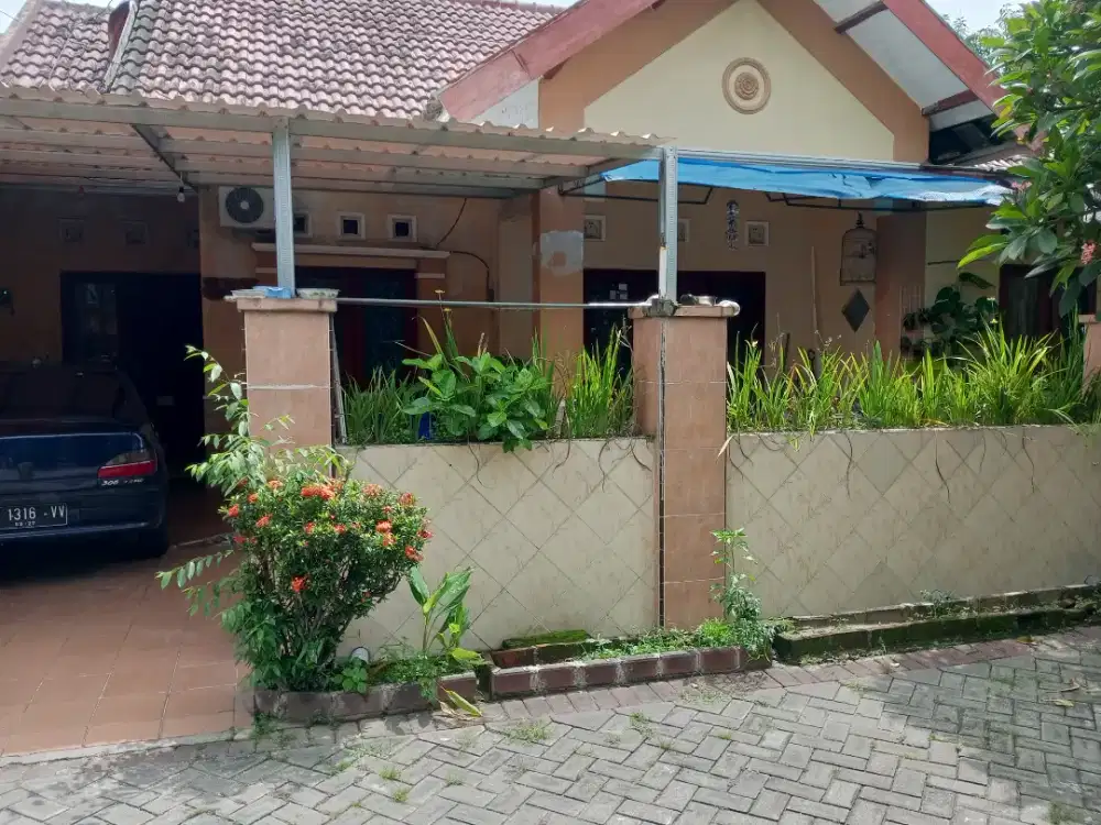 Rmh 2 kav , 1 rmh , gang sendiri