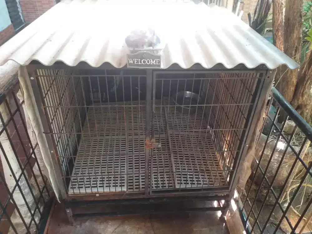Kandang anjing ukuran sedang